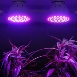 LED plant grow light - bulb - hydroponic - full spectrum - E27 / E14 / MR16/ GU10 - 220V - 2 pieces
