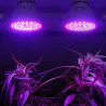 LED plant grow light - bulb - hydroponic - full spectrum - E27 / E14 / MR16/ GU10 - 220V - 2 pieces