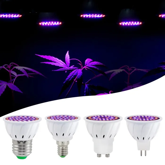 LED plantengroeilamp - bol - hydrocultuur - full spectrum - E27 / E14 / MR16/ GU10 - 220V - 2 stuksKweeklampen