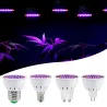 LED plant grow light - bulb - hydroponic - full spectrum - E27 / E14 / MR16/ GU10 - 220V - 2 pieces