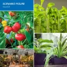LED plantengroeilamp - gloeilamp - hydrocultuur - volledig spectrum - E27 / E14 - 18W / 28WKweeklampen