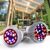 LED plantengroeilamp - gloeilamp - hydrocultuur - volledig spectrum - E27 / E14 - 18W / 28WKweeklampen