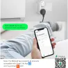 BW-SHP7 -16A 3680W - Wandsteckdose - Dual-EU-Stecker - WiFi - Timer - Fernbedienung - Alexa - Google