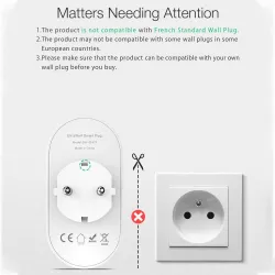BW-SHP7 -16A 3680W - Wandsteckdose - Dual-EU-Stecker - WiFi - Timer - Fernbedienung - Alexa - Google