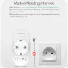 BW-SHP7 -16A 3680W - Wandsteckdose - Dual-EU-Stecker - WiFi - Timer - Fernbedienung - Alexa - Google