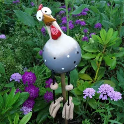 Grappige kip - kip - haan - tuin/gazon decoratieTuin
