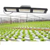 Plant grow lamp - LED light - Samsung LM561C Cree 660nm chip - 73W / 150W