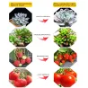 Plant grow lamp - LED light - Samsung LM561C Cree 660nm chip - 73W / 150W