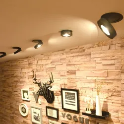 Lampa sufitowa LED - wpuszczana - obrotowa - ściemnialna - COB - wbudowane oświetlenie punktowe - 3W / 5W / 7W / 9W / 12WŚwia...