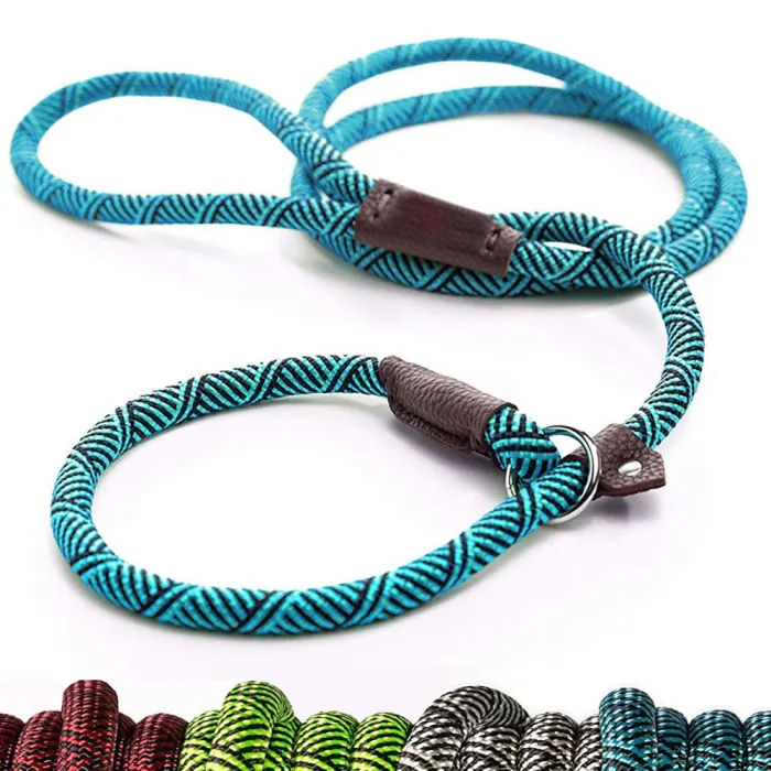 Dog leash - collar - adjustable loop - durable