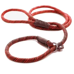 Hundeleine - Halsband - verstellbare Schlaufe - strapazierfähig