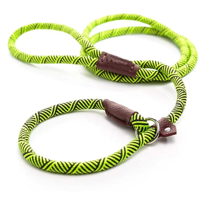 Hundeleine - Halsband - verstellbare Schlaufe - strapazierfähig