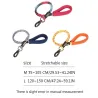 Dog leash - collar - with traction rope / buckleCollars & Leads