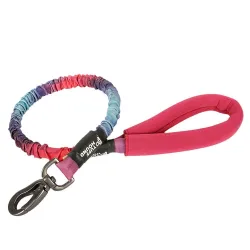 Hondenriem - halsband - met trekkoord / gespHalsbanden en Lijnen