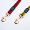 Hundeleine - Halsband - rutschfest - mit Metallschnalle - 2m / 3m / 5m