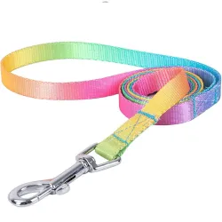 Dog harness with leash / buckle - rainbow dots