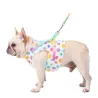 Dog harness with leash / buckle - rainbow dots