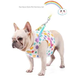 Hundegeschirr mit Leine / Schnalle - Regenbogenpunkte
