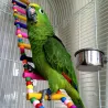 Bunte Holzzugbrücke - Spielzeug für Vögel / Papageien