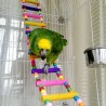 Kleurrijke houten ophaalbrug - speelgoed voor vogels / papegaaienVogels