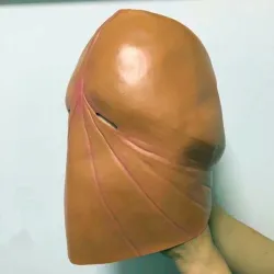 Maska lateksowa na całą twarz - dla dorosłych - zabawny kształt penisa - Halloween / maskaradyMaski