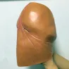 Maska lateksowa na całą twarz - dla dorosłych - zabawny kształt penisa - Halloween / maskaradyMaski