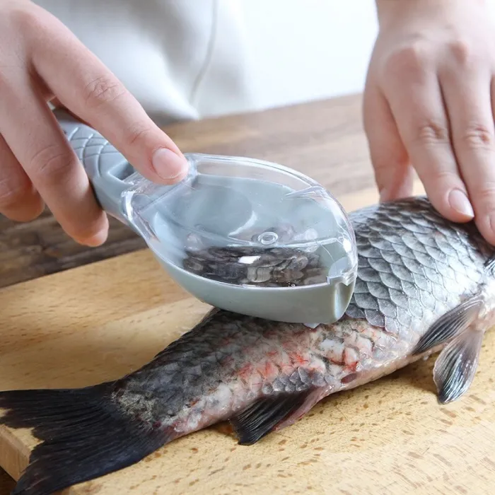 CubiertosFish cleaning - scraping scales tool