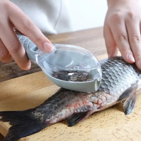 CubiertosFish cleaning - scraping scales tool