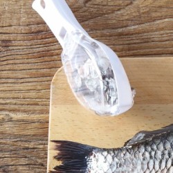 Fischreinigung - Schuppenwerkzeug abkratzen