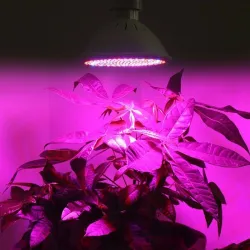 Lampa LED E27 - 200 LED - do uprawy roślin - hydroponiczna - 2 sztukiLampa Wzrostu