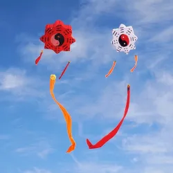 Tai Chi Gossip - traditional kite - long tail