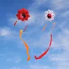 Tai Chi Gossip - traditional kite - long tail