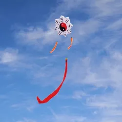 Tai Chi Gossip - traditional kite - long tail