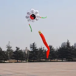 Tai Chi Gossip - traditional kite - long tail