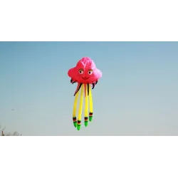 CometaLarge jellyfish - 3D octopus - kite - 5 m