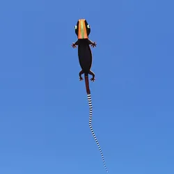 CometaLagarto grande - gecko - cometa - inflable - línea simple - 12m