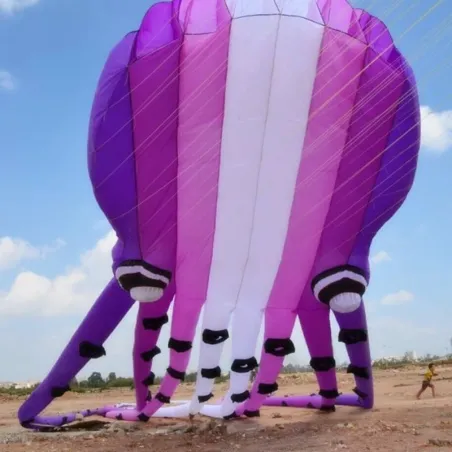 Grote octopus - vlieger - opblaasbaar - met lijn - 15m / 23m / 30mVliegers