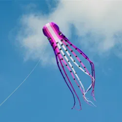 Grote octopus - vlieger - opblaasbaar - met lijn - 15m / 23m / 30mVliegers