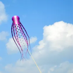 Grote octopus - vlieger - opblaasbaar - met lijn - 15m / 23m / 30mVliegers