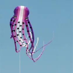Grote octopus - vlieger - opblaasbaar - met lijn - 15m / 23m / 30mVliegers