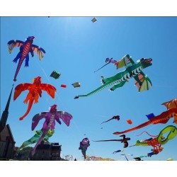 3D fliegender Drache - Drachen - 6,5m