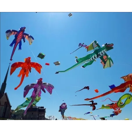 3D fliegender Drache - Drachen - 6,5m