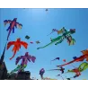 3D fliegender Drache - Drachen - 6,5m