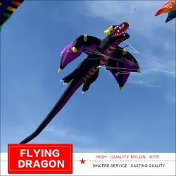 3D fliegender Drache - Drachen - 6,5m