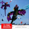 3D fliegender Drache - Drachen - 6,5m