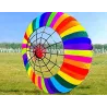 CometaColorful rainbow with spider - large kite - 2.5m