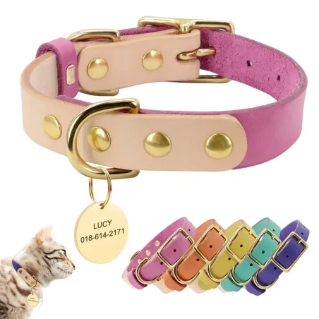 Leather collar - for dogs / cats - personalized pet name - phone number - ID tag