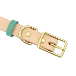 Leather collar - for dogs / cats - personalized pet name - phone number - ID tag