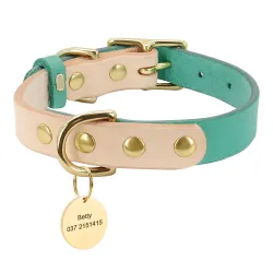 Lederhalsband - für Hunde / Katzen - personalisierter Kosename - Telefonnummer - ID-Tag