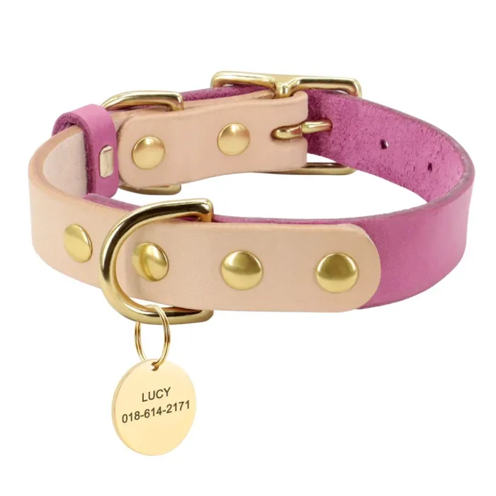 Leather collar - for dogs / cats - personalized pet name - phone number - ID tag